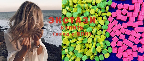 ECSTASY Богородицк