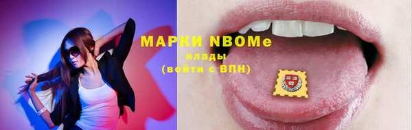 ECSTASY Богородицк