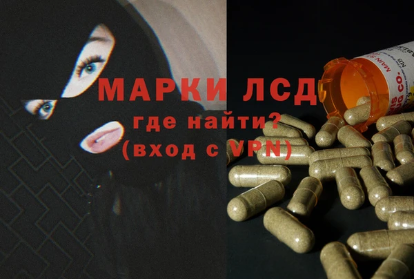 ECSTASY Богородицк