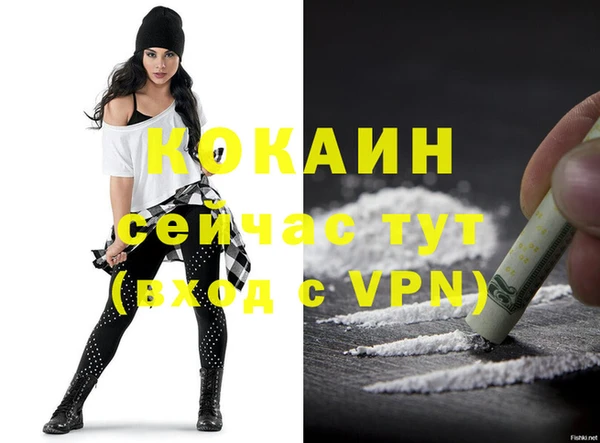 ECSTASY Богородицк